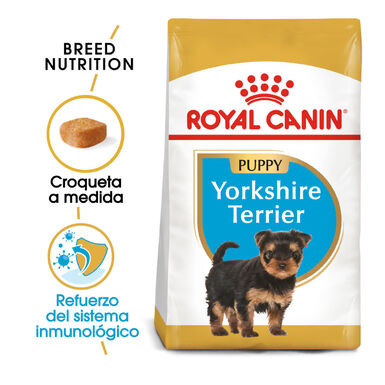 Royal Canin Puppy Yorkshire Terrier pienso para perros  